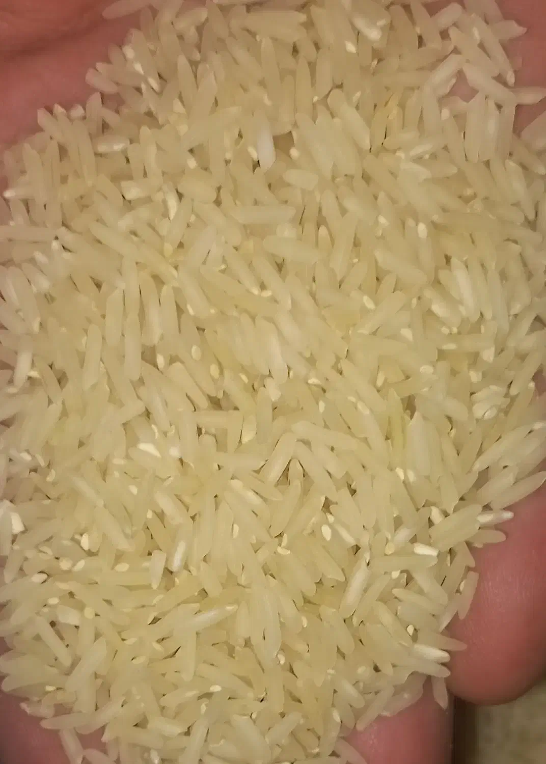 برنج طارم یک یک|عمدهفروشی|کوهدشت, |دیوار