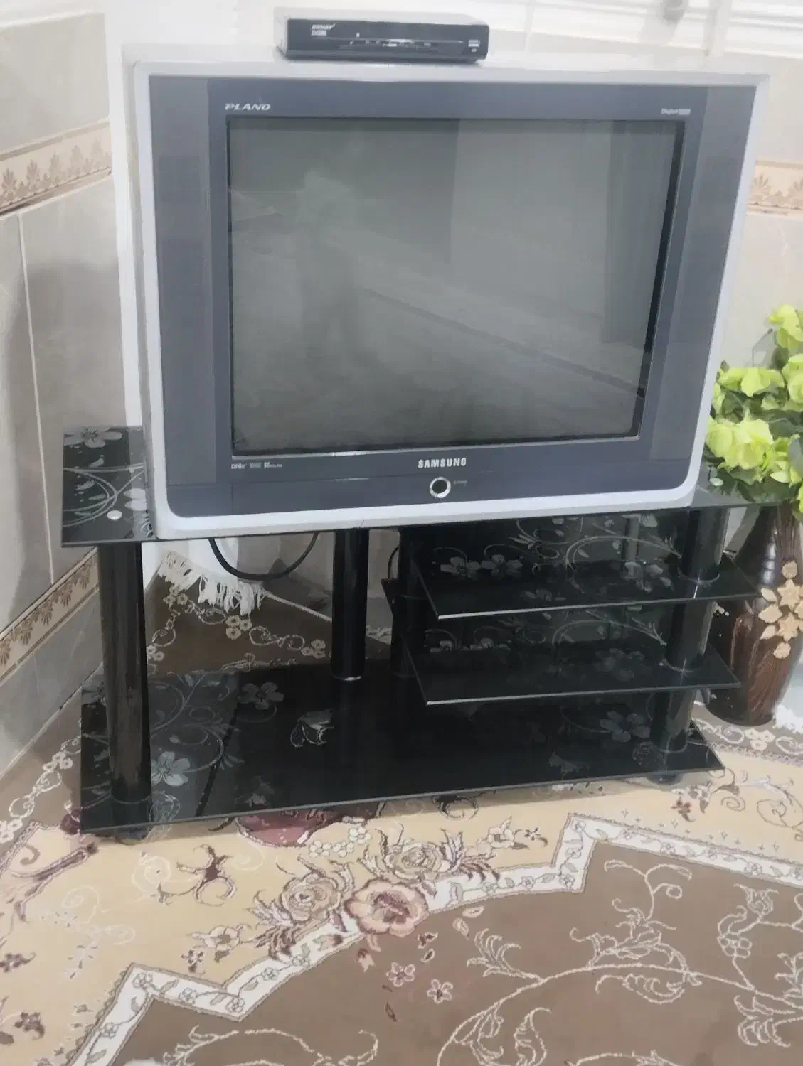 تلویزیون|تلویزیون و پروژکتور|زاهدان, |دیوار