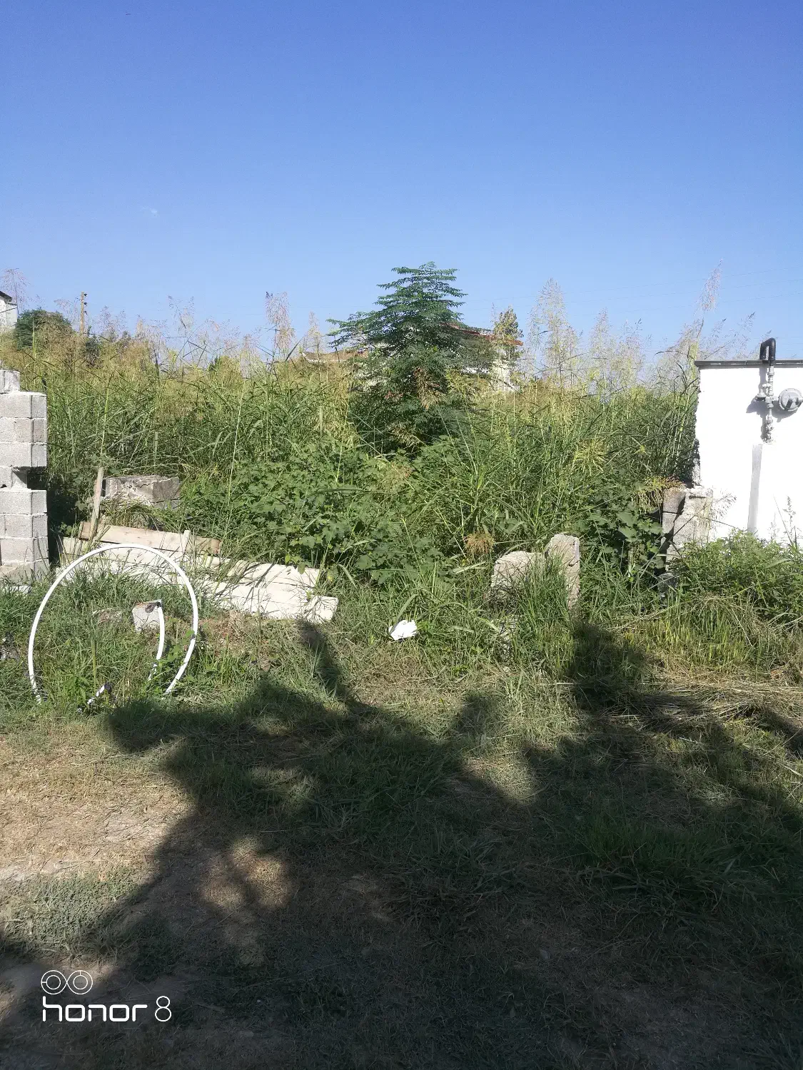 نقد و اقساط 394مترزمین داخل بافت زرد مسکونی|فروش زمین و ملک کلنگی|شیرود, |دیوار