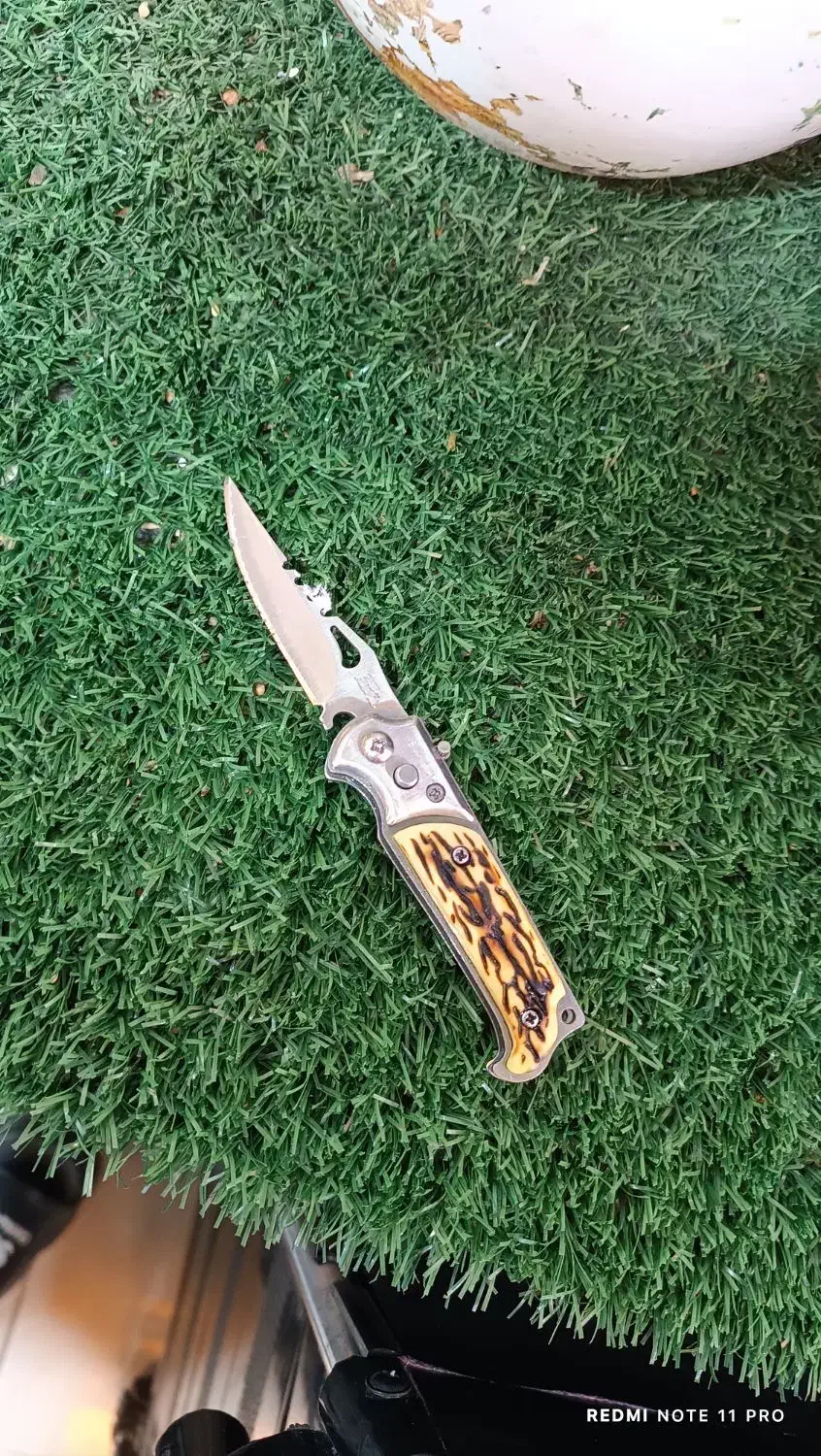 چاقو زامن دار لجنی|کوهنوردی و کمپینگ|سقز, |دیوار