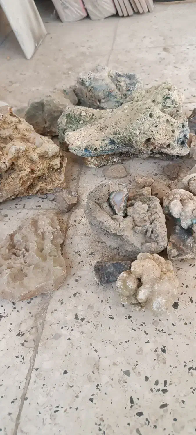 سنگ آکواریوم یک کیسه|ماهی|تربت‌حیدریه, بهزیستی|دیوار