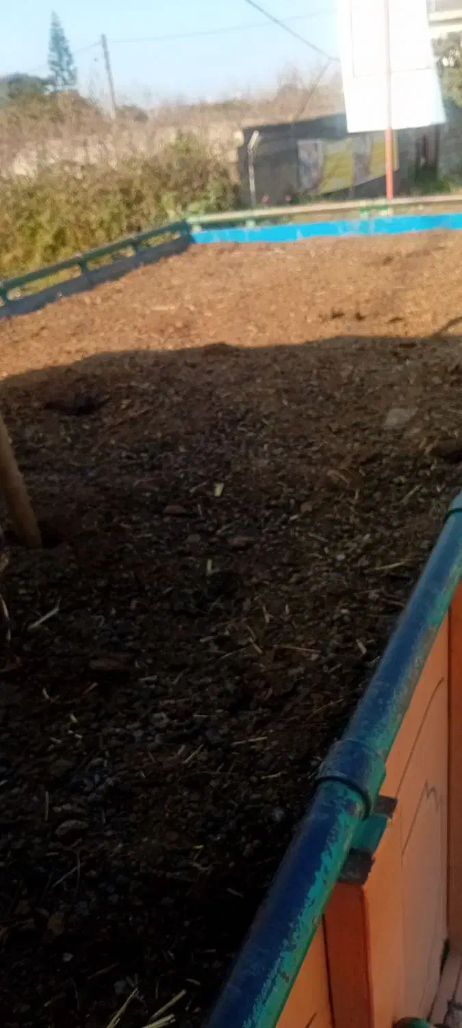 کود حیوانی|خدمات باغبانی و درختکاری|تنکابن, |دیوار