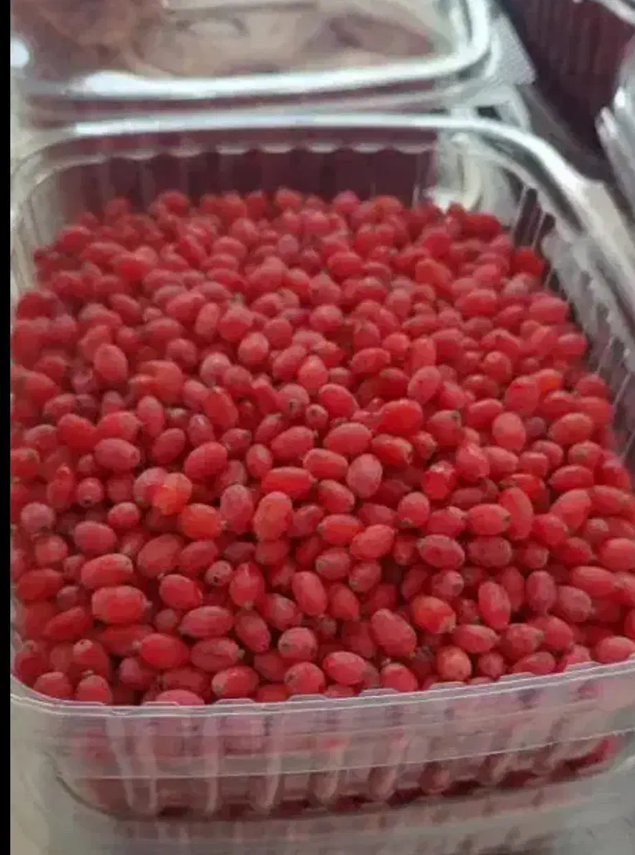 زرشک تازه|خوردنی و آشامیدنی|شیراز, احمدآباد|دیوار