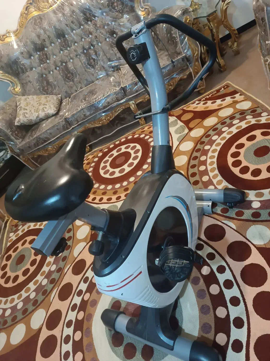 دوچرخه ثابت|تجهیزات ورزشی|دوگنبدان, |دیوار