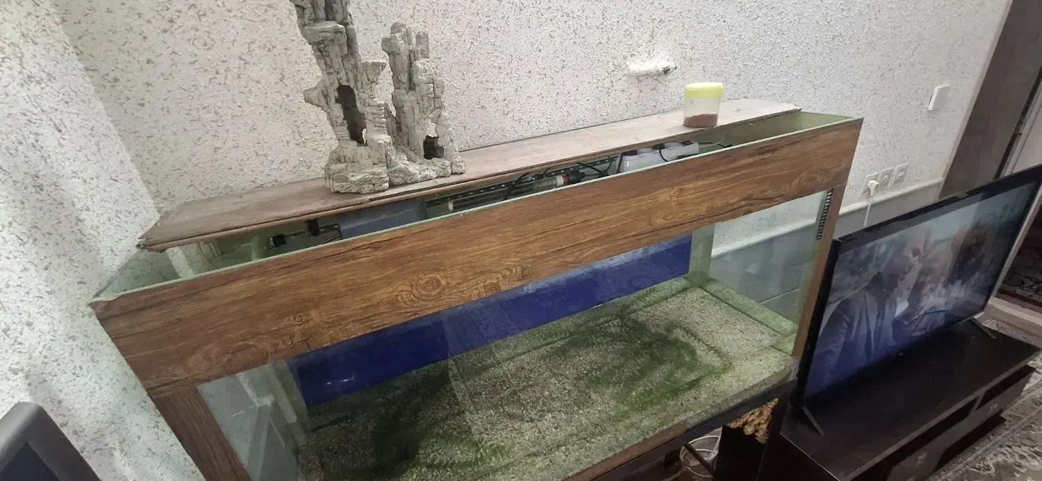 آکواریوم ابعاد ۱۳۵×۷۵×۴۰|ماهی|سمنان, |دیوار