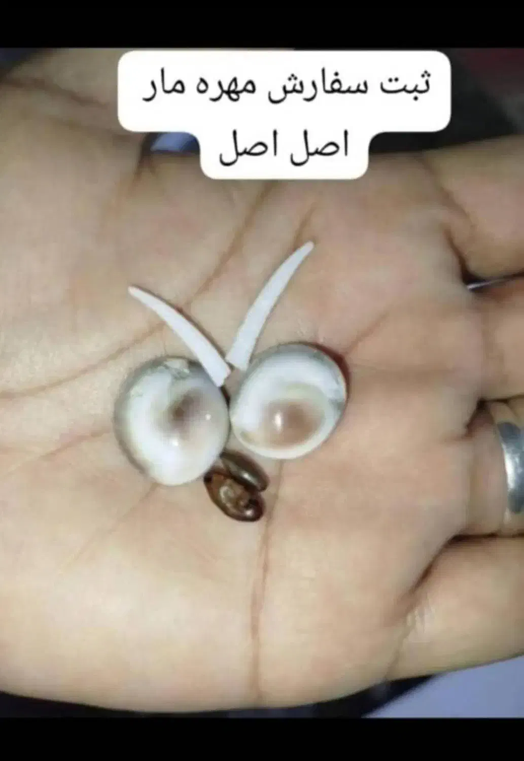 سنگ قدیمی|جواهرات|سی‌سخت, |دیوار