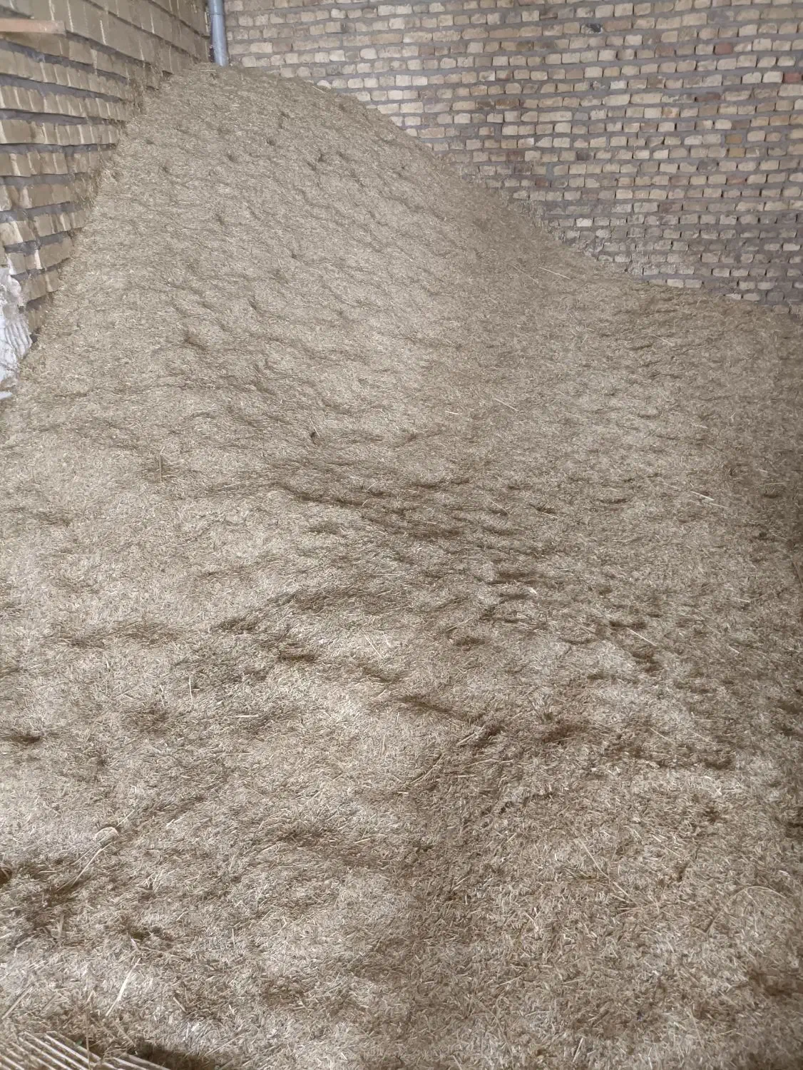 کاه گندم ابی|حیوانات مزرعه|جونقان, |دیوار