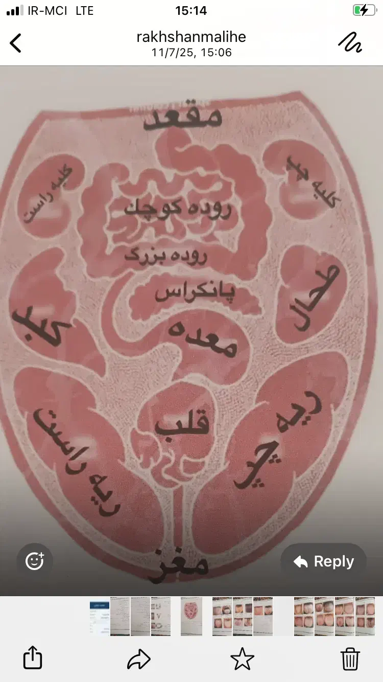 علاقمندان به  طب سنتی ، مزاج شناسی ، زبان شناسی|خدمات آموزشی|نوشهر, |دیوار