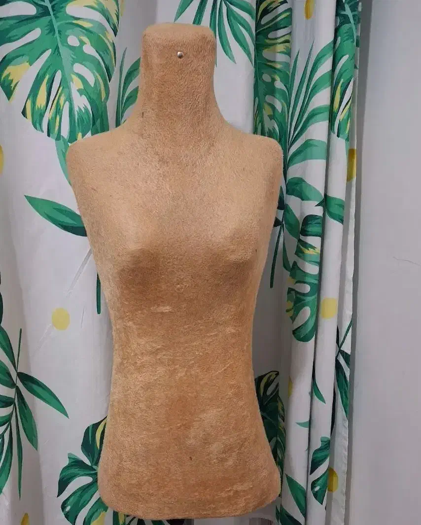 مانکن|لوازم خیاطی و بافتنی|شیراز, پودنک|دیوار