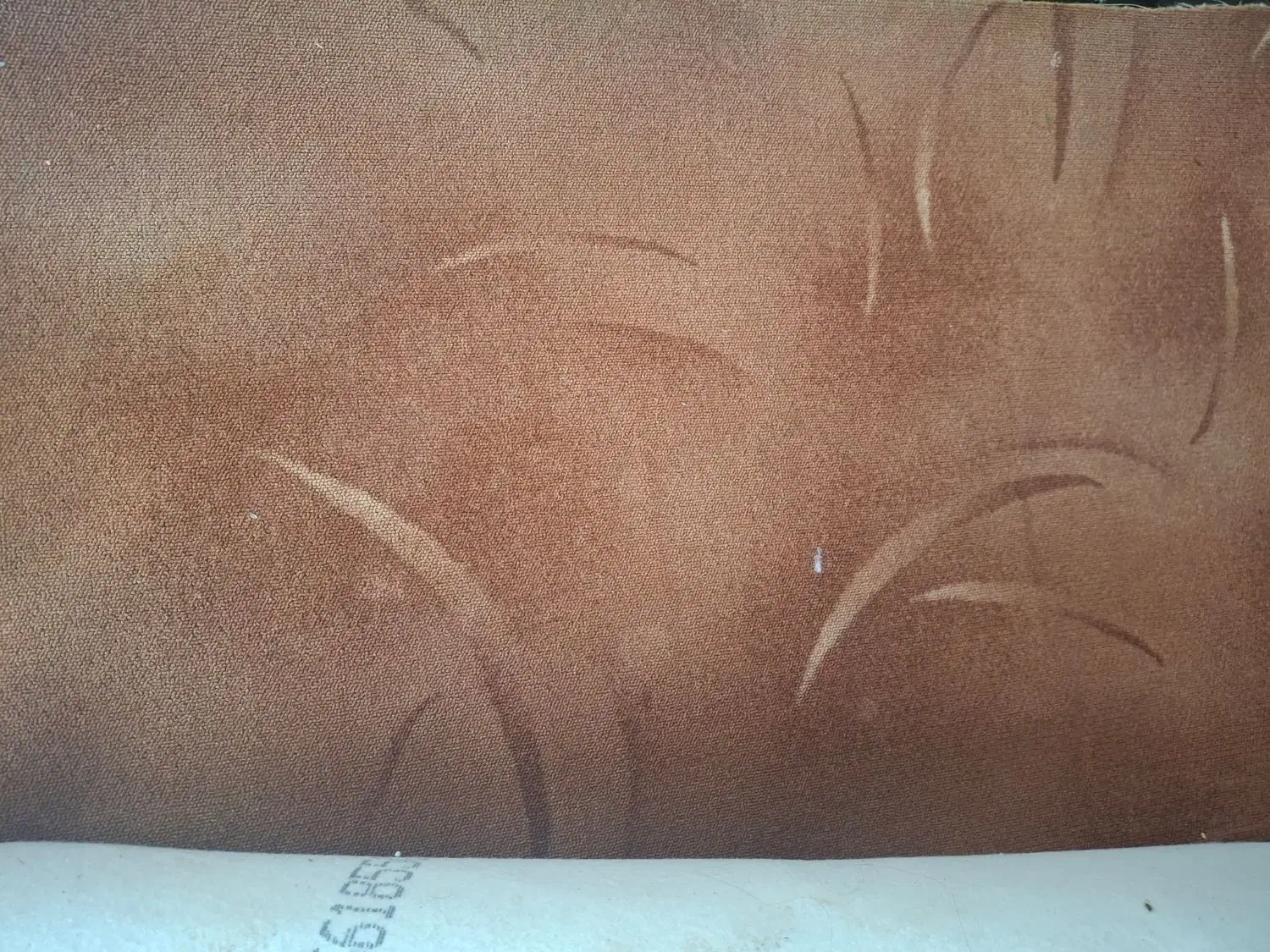 فروش موکت پالاز|موکت|دزفول, |دیوار