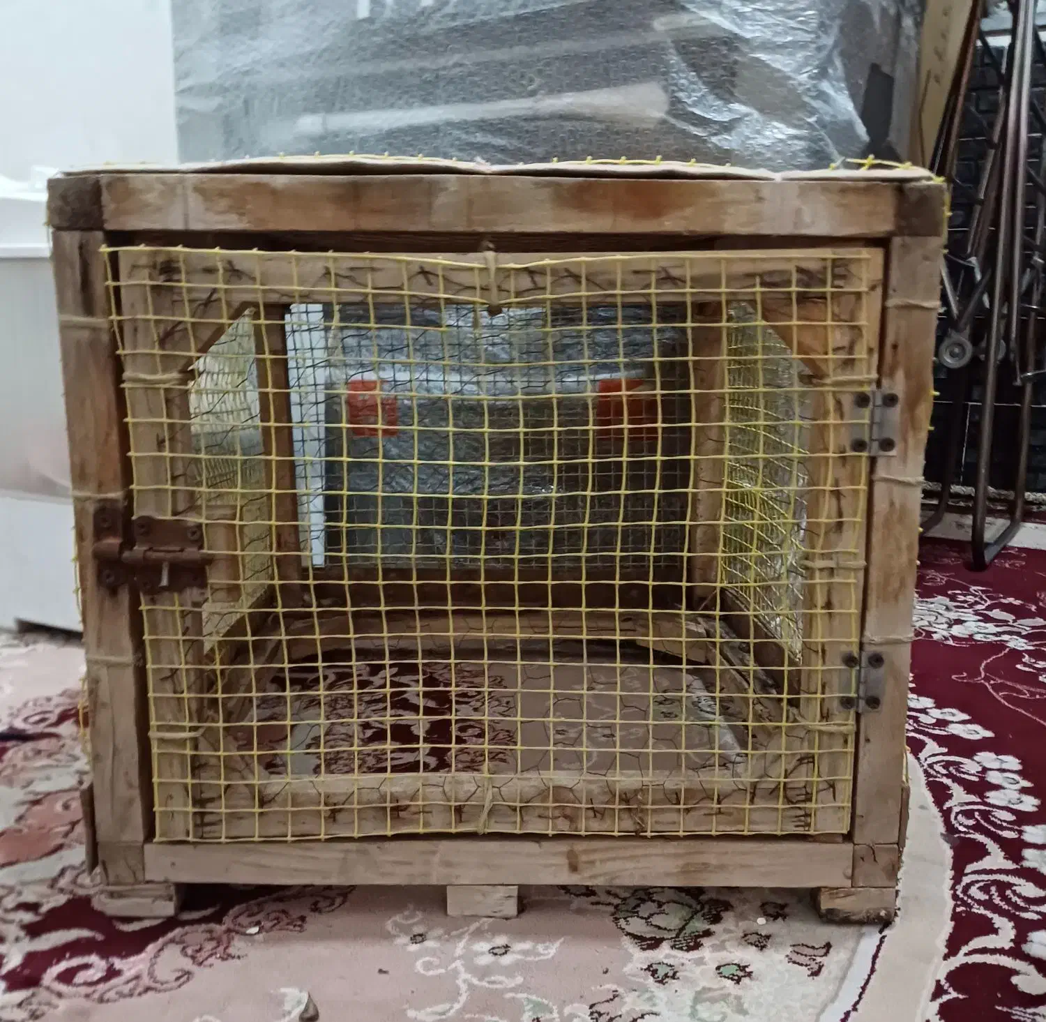 لانه|لوازم جانبی حیوانات|محمدیه-قزوین, |دیوار