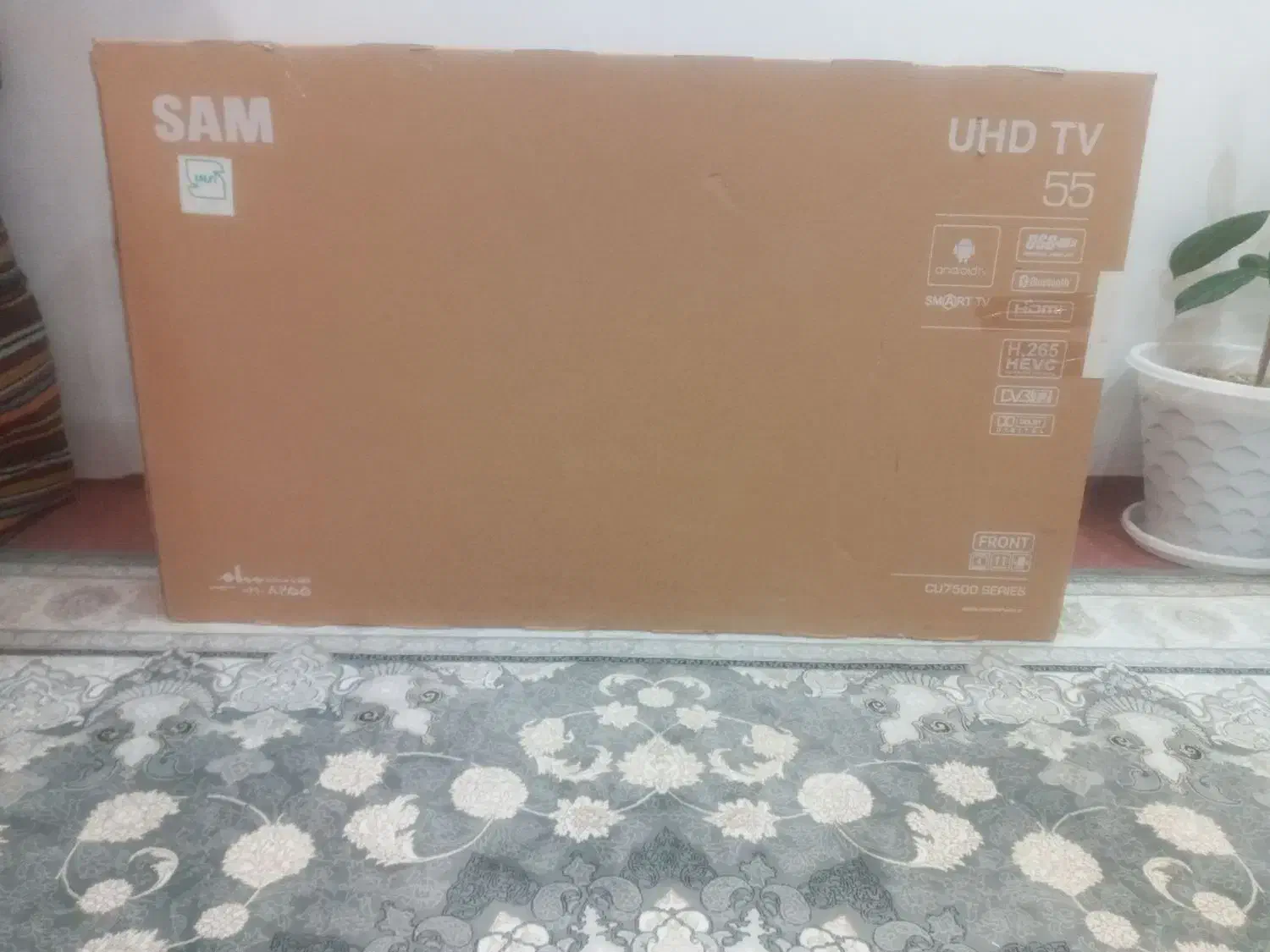 تلویزیون55|تلویزیون و پروژکتور|الیگودرز, |دیوار