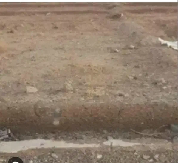 فروش زمین تجاری|فروش زمین و ملک کلنگی|فاریاب, |دیوار