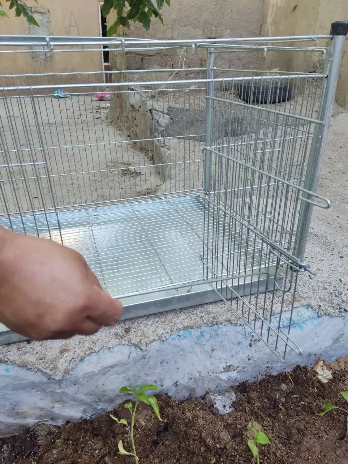 قفسه پرنده  نو|لوازم جانبی حیوانات|تاکستان, |دیوار