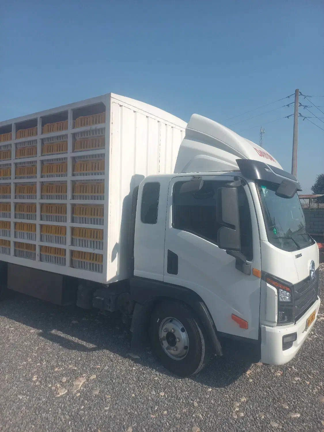 دایون ده تن مرغی|خودرو سنگین|قائمشهر, |دیوار