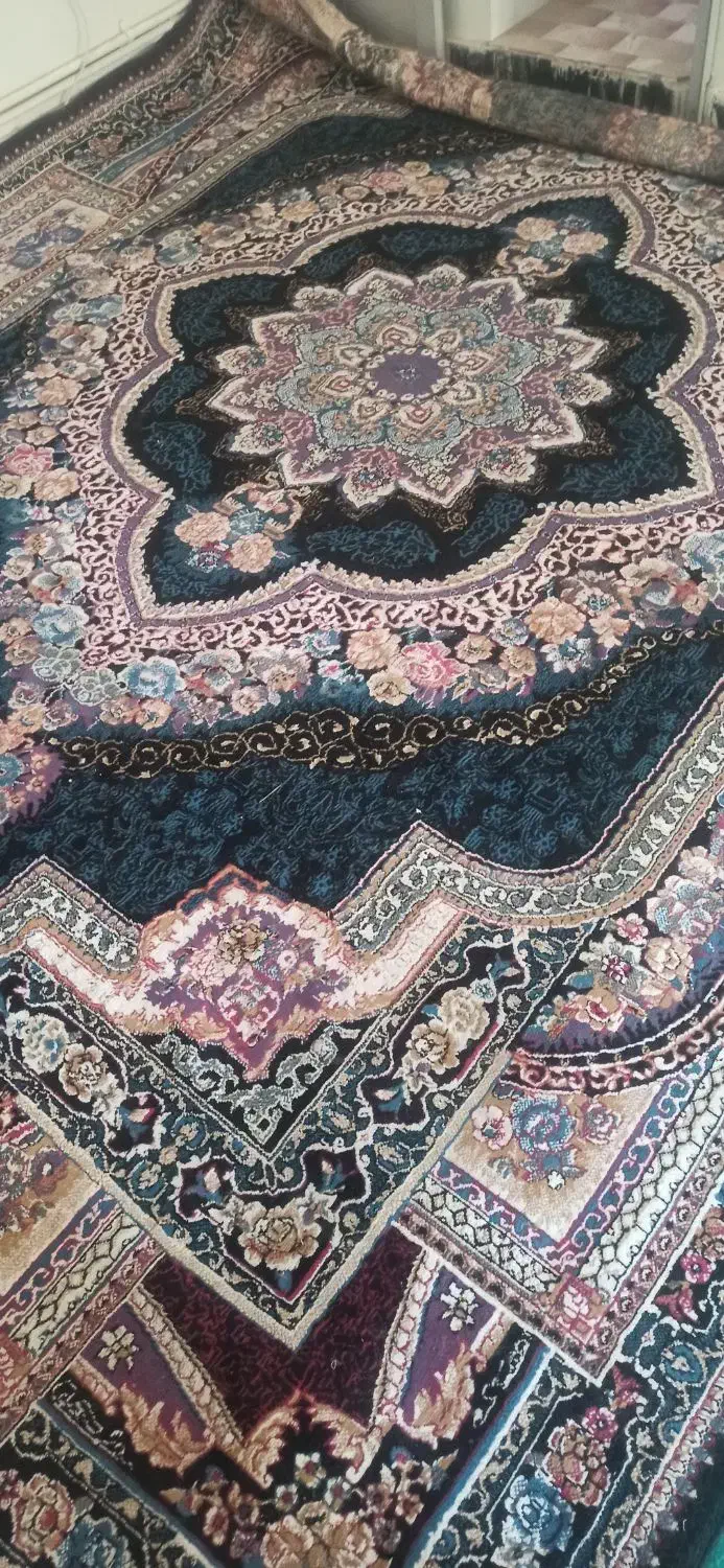 چند جفت فرش دوازده متری|فرش|نجفآباد, سعدی|دیوار