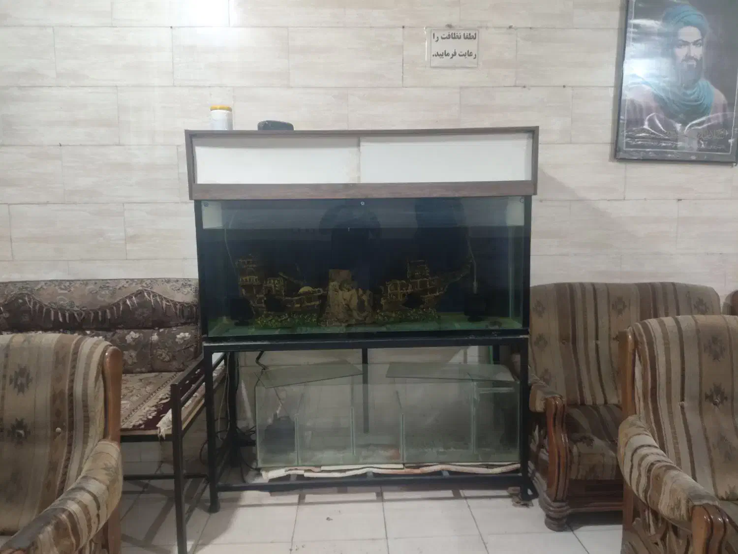 آکواریم بزرگ|ماهی|شیراز, جوادیه|دیوار