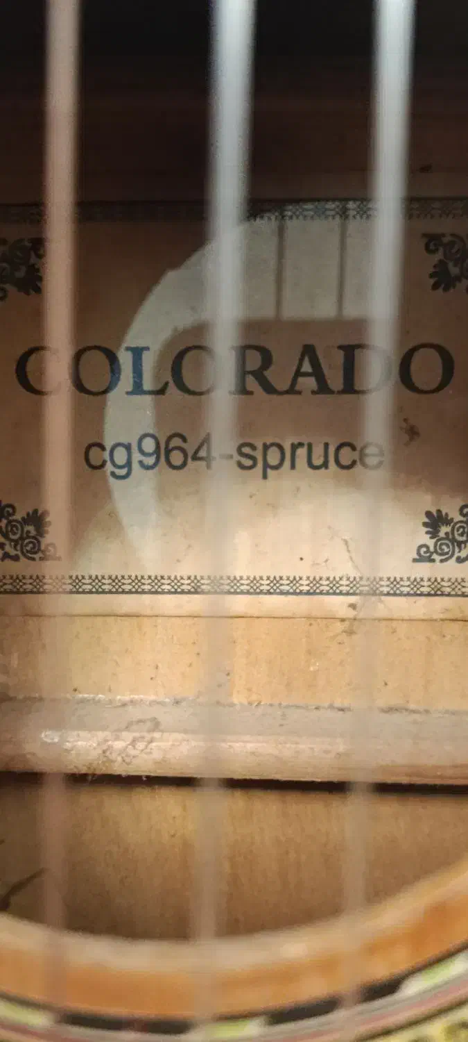 گیتار Colorado|گیتار، بیس، امپلیفایر|رشت, گلزاران|دیوار