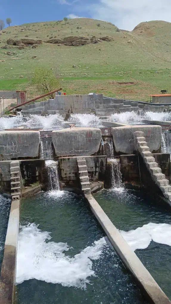 نیازمند کارگر|استخدام صنعتی، فنی، مهندسی|شهرکرد, |دیوار