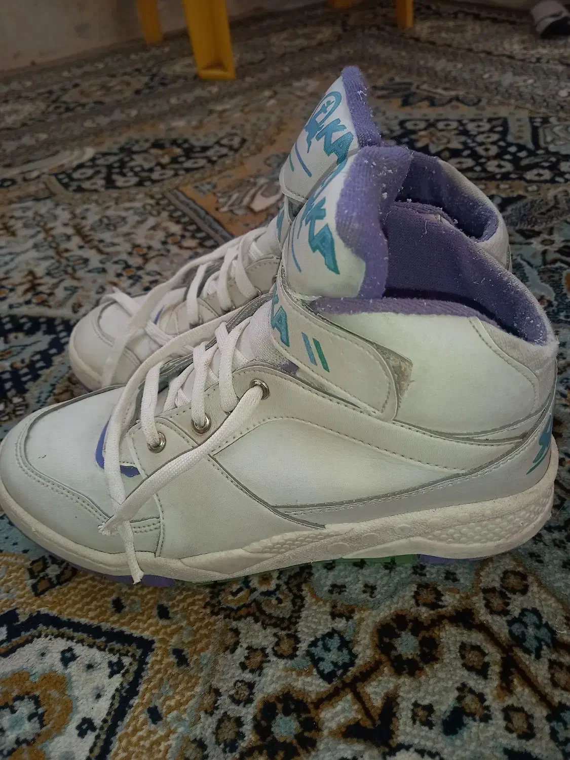 کفش|کیف، کفش، کمربند|اسفراین, |دیوار