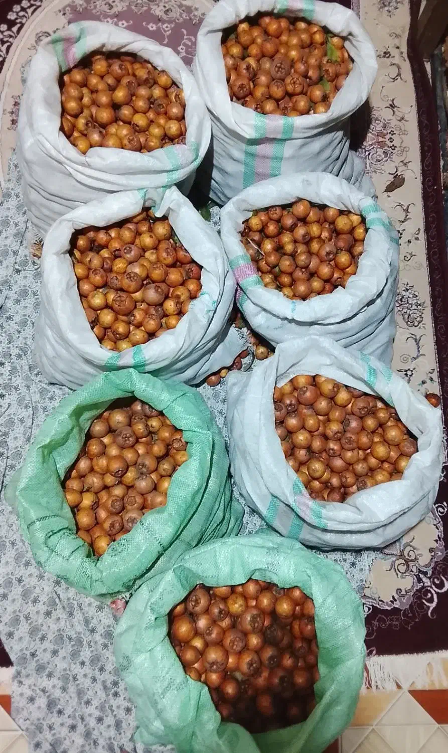 ازگیل پیوندی|خوردنی و آشامیدنی|احمدسرگوراب, |دیوار