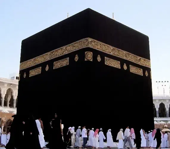 فیش حج عمرده|تور و چارتر|گنبد کاووس, |دیوار