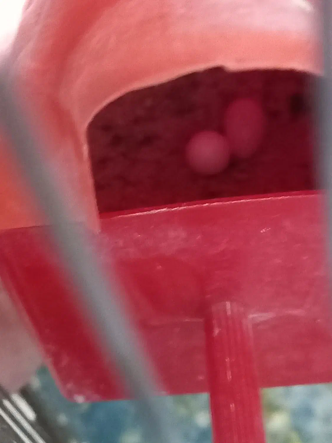 جفت بنگالی باتخم همراه قفس|پرنده|تبریز, |دیوار