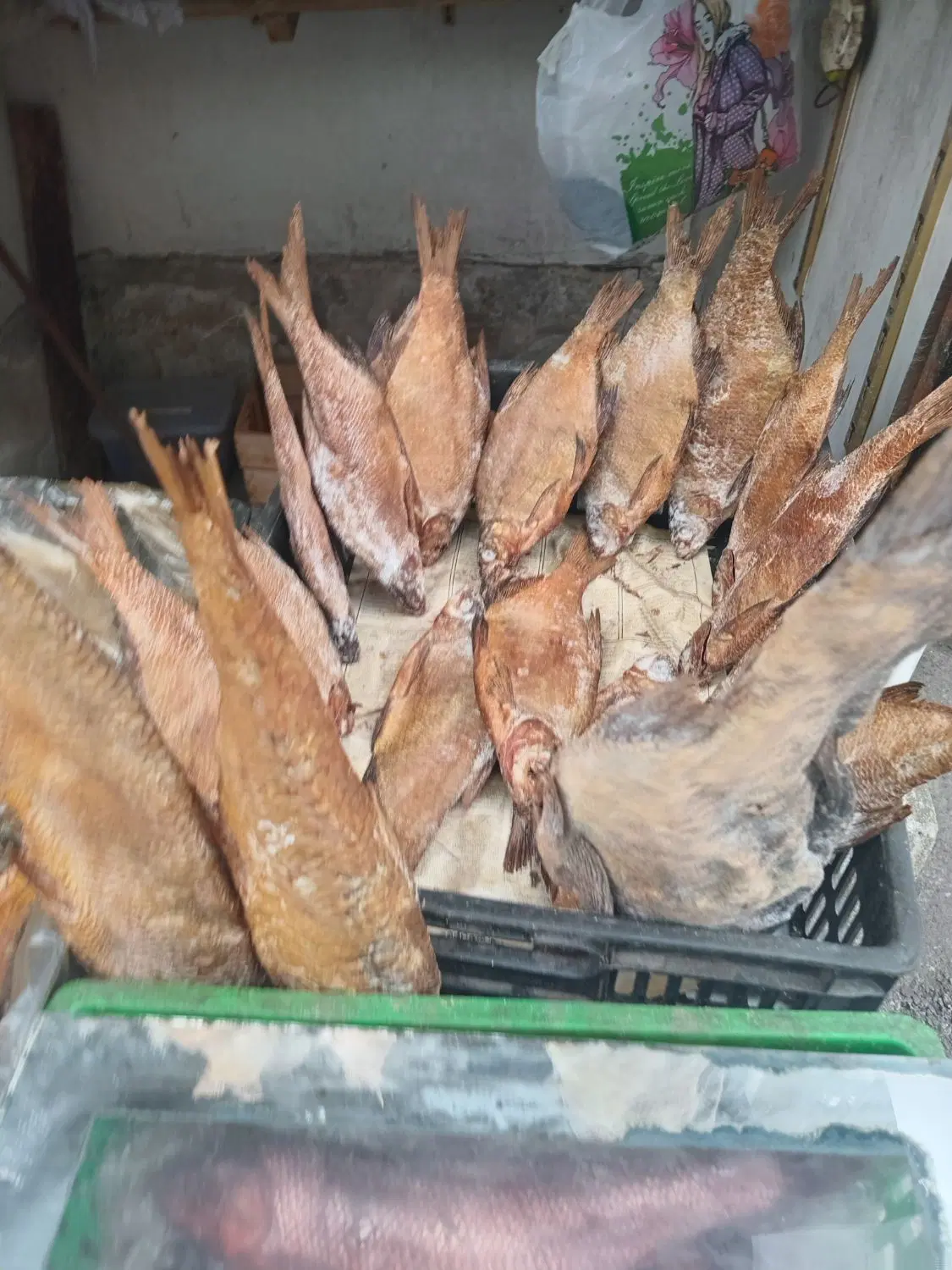 بیکت دودی|ماهی|رشت, شالکو|دیوار