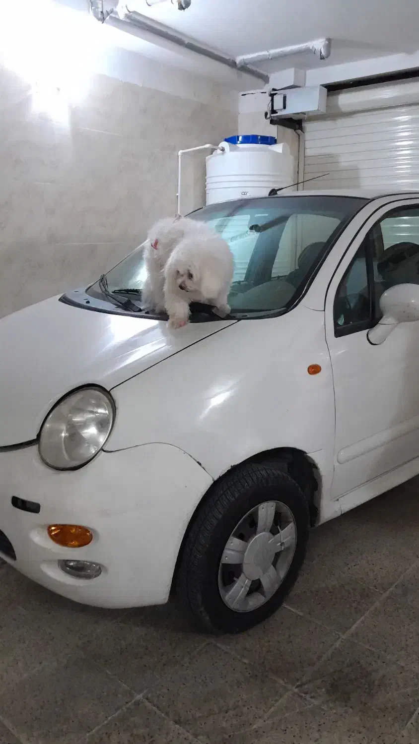 ام وی ام ۱۱۰ بیرنگ|خودرو سواری و وانت|گرگان, |دیوار