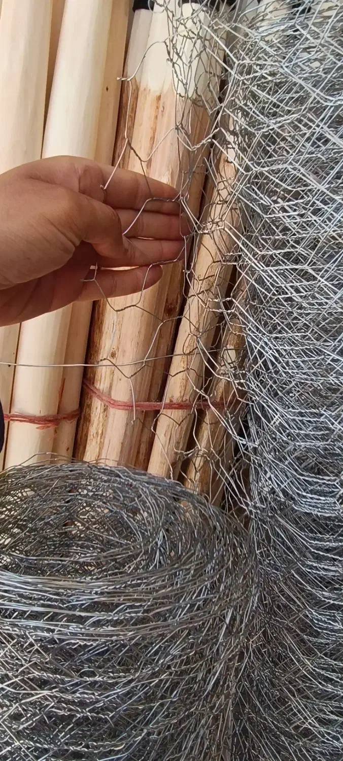 فروش خروس|حیوانات مزرعه|سیرجان, |دیوار