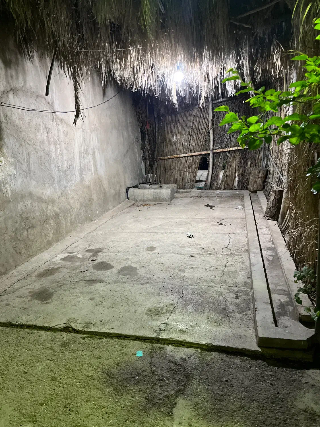 اجاره خونه باغ|اجارهٔ کوتاه‌مدت ویلا و باغ|ماهان, |دیوار