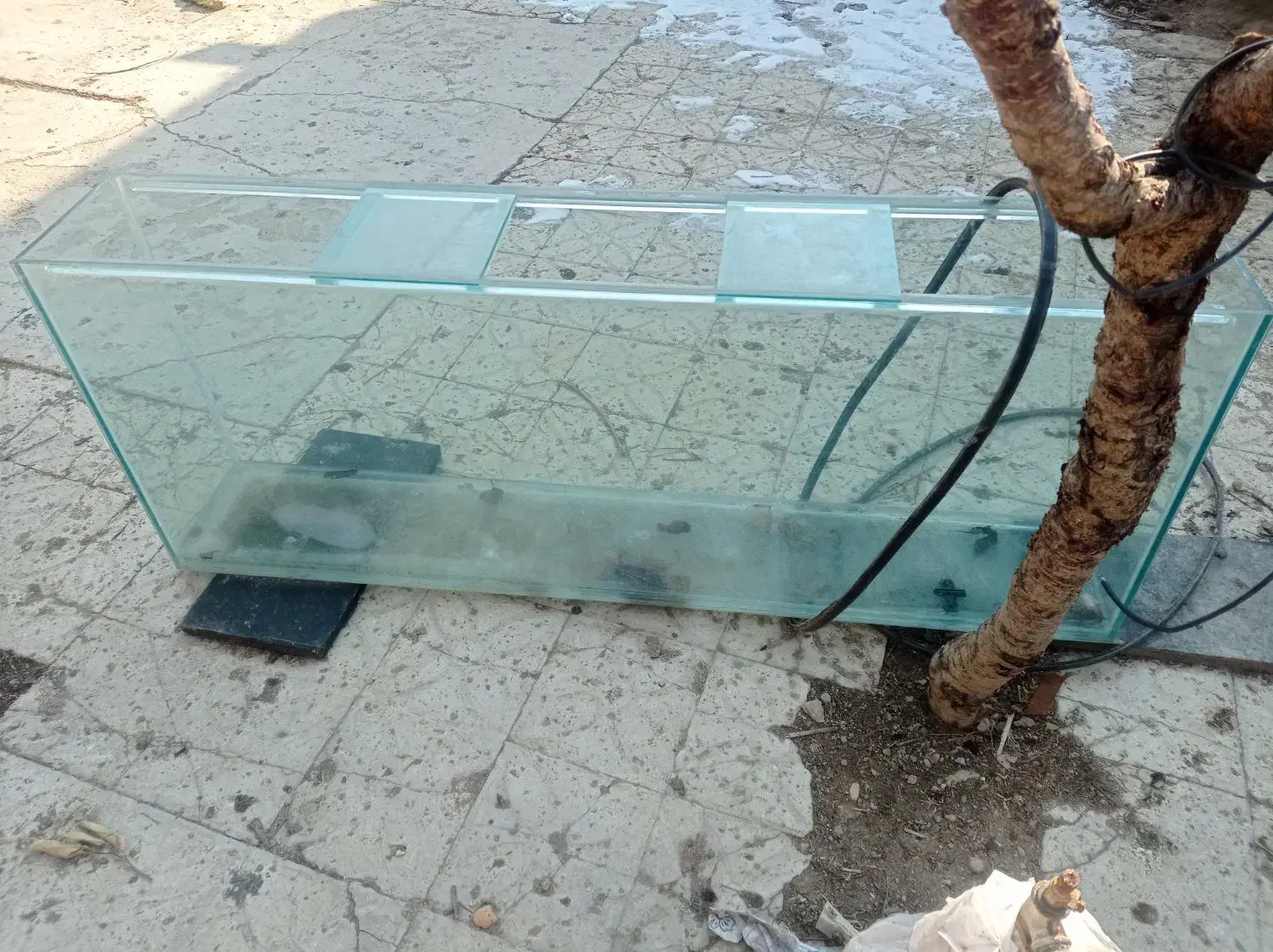 آکواریوم دو متری و شیشه خم|ماهی|کبودرآهنگ, |دیوار