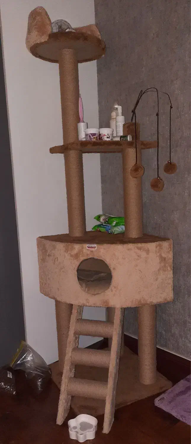 خانه درختی گربه ( کت تیری )|لوازم جانبی حیوانات|کرج, فاز ۲ مهرشهر|دیوار