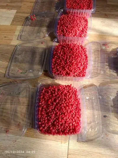 زرشک تازه به هر اندازه که بخواهید|خوردنی و آشامیدنی|درمیان, |دیوار