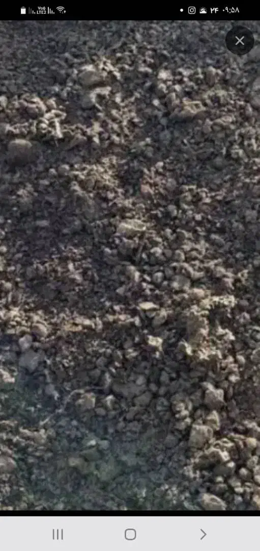 کود حیوانی|خدمات باغبانی و درختکاری|خورموج, |دیوار