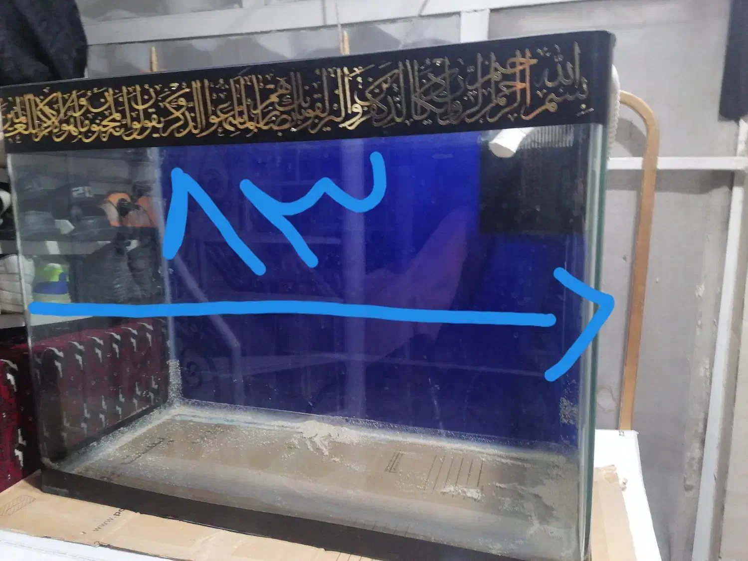 آکواریوم|ماهی|مشهد, توس (بلوار توس)|دیوار