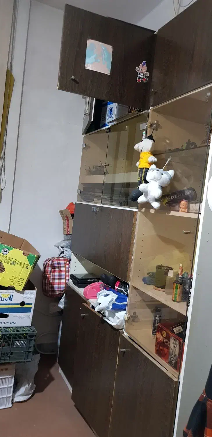 کمد کتاب|کتابخانه، شلف، قفسههای دیواری|ملایر, |دیوار