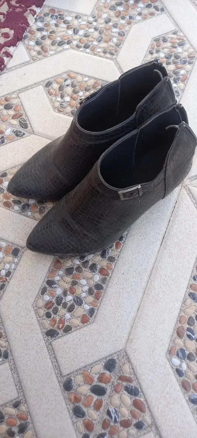 کفش|کیف، کفش، کمربند|اهر, |دیوار