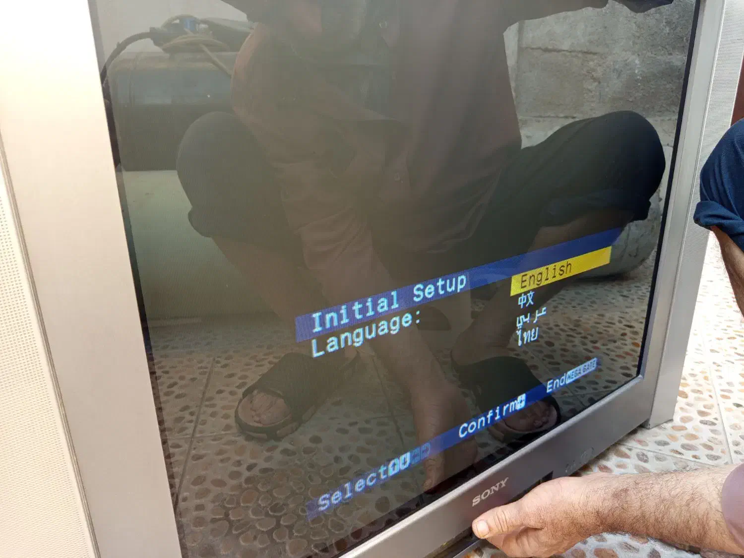 تلویزیون|تلویزیون و پروژکتور|بوشهر, |دیوار