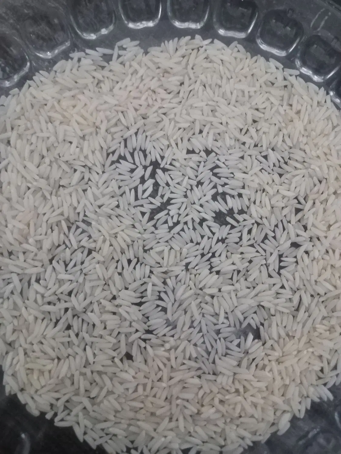 برنچ هاشمی|خوردنی و آشامیدنی|رشت, جانبازان|دیوار