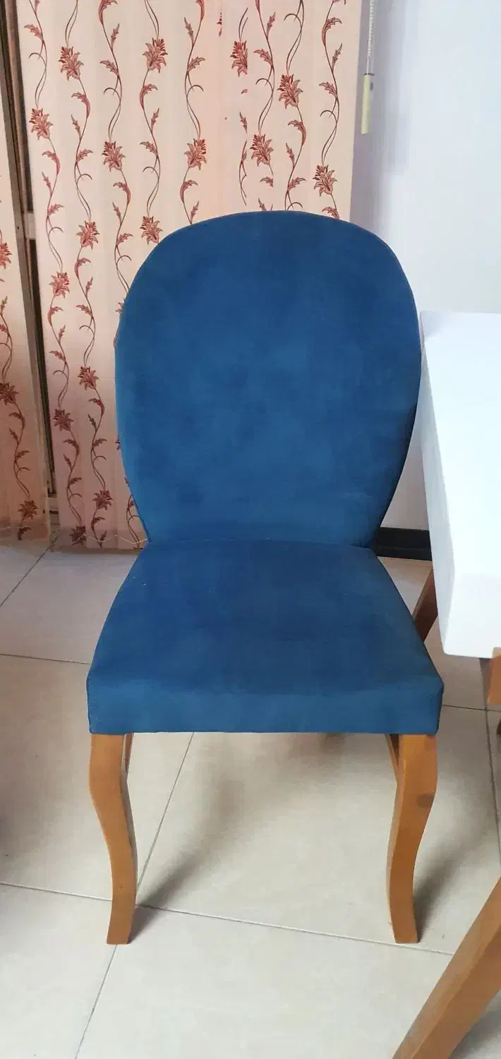 میزناهارخوری|میز و صندلی غذاخوری|شاهین‌شهر, فردوسی|دیوار