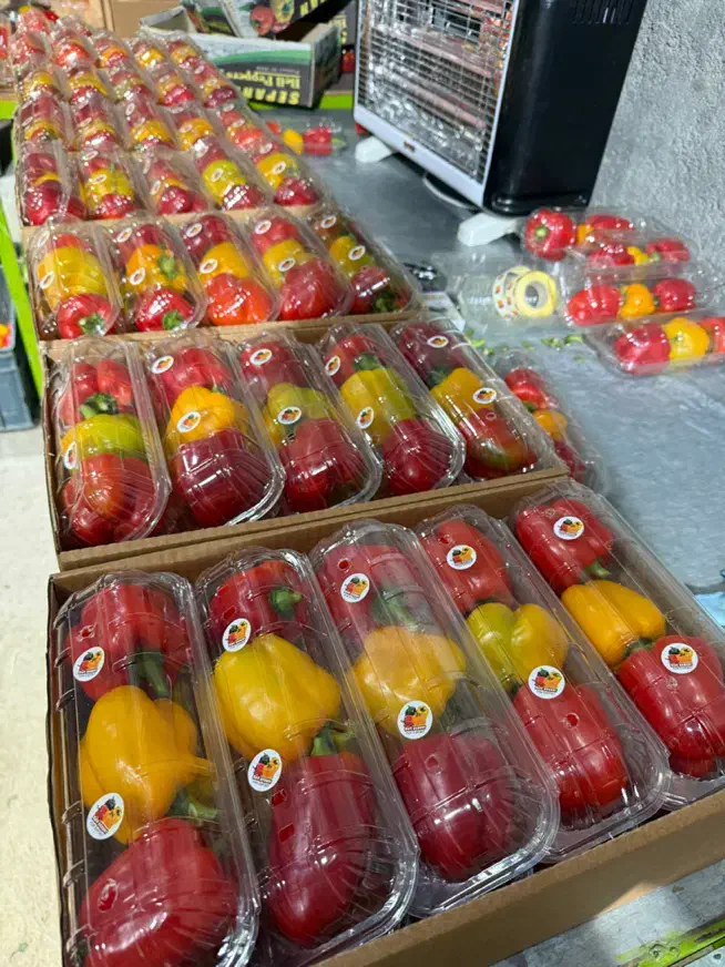 استخدام نیرو کار خانم و اقا|استخدام خدمات فروشگاه و رستوران|تیران, |دیوار