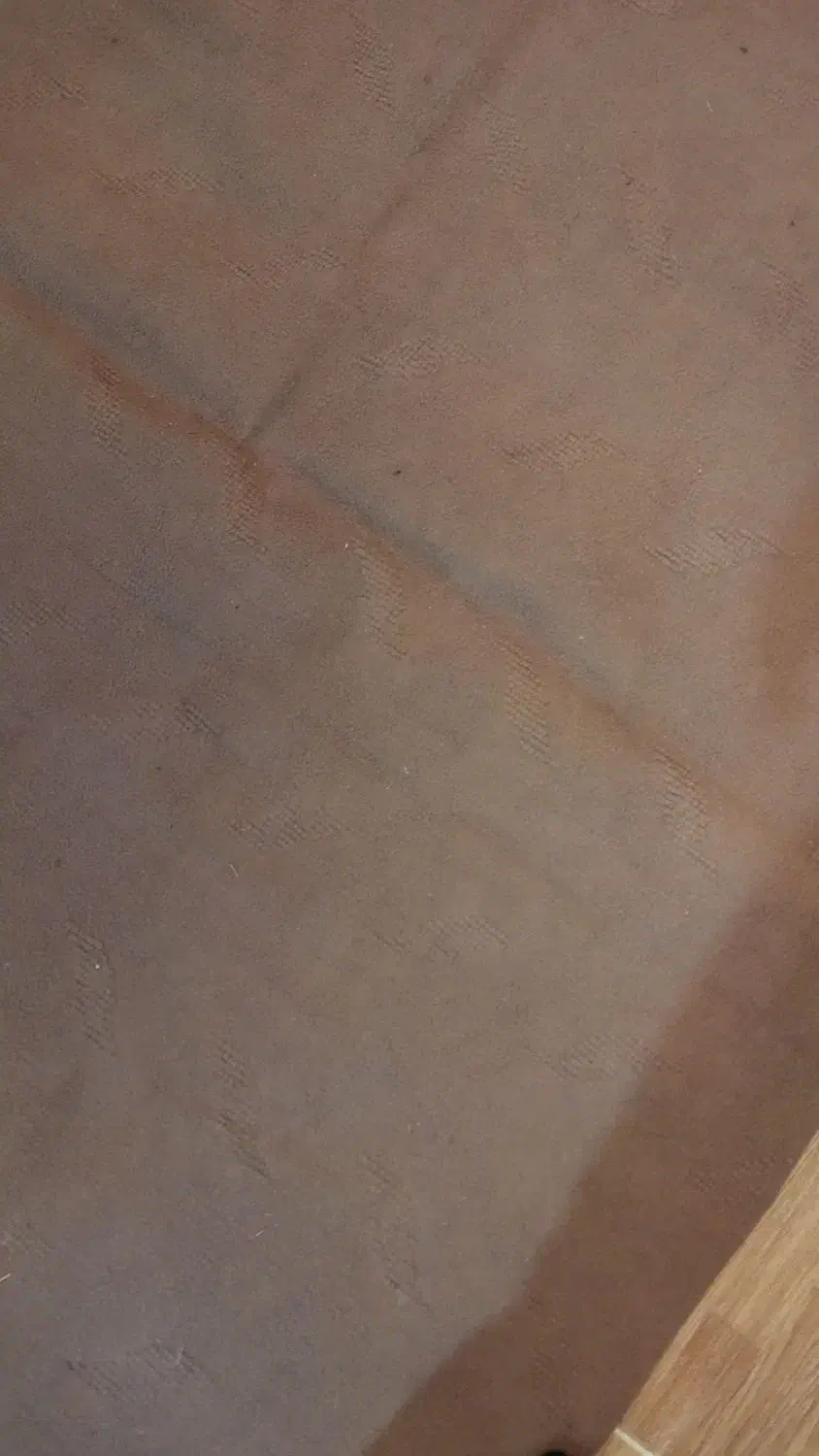 موکت به اندازه170 در2/5|موکت|زنجان, |دیوار