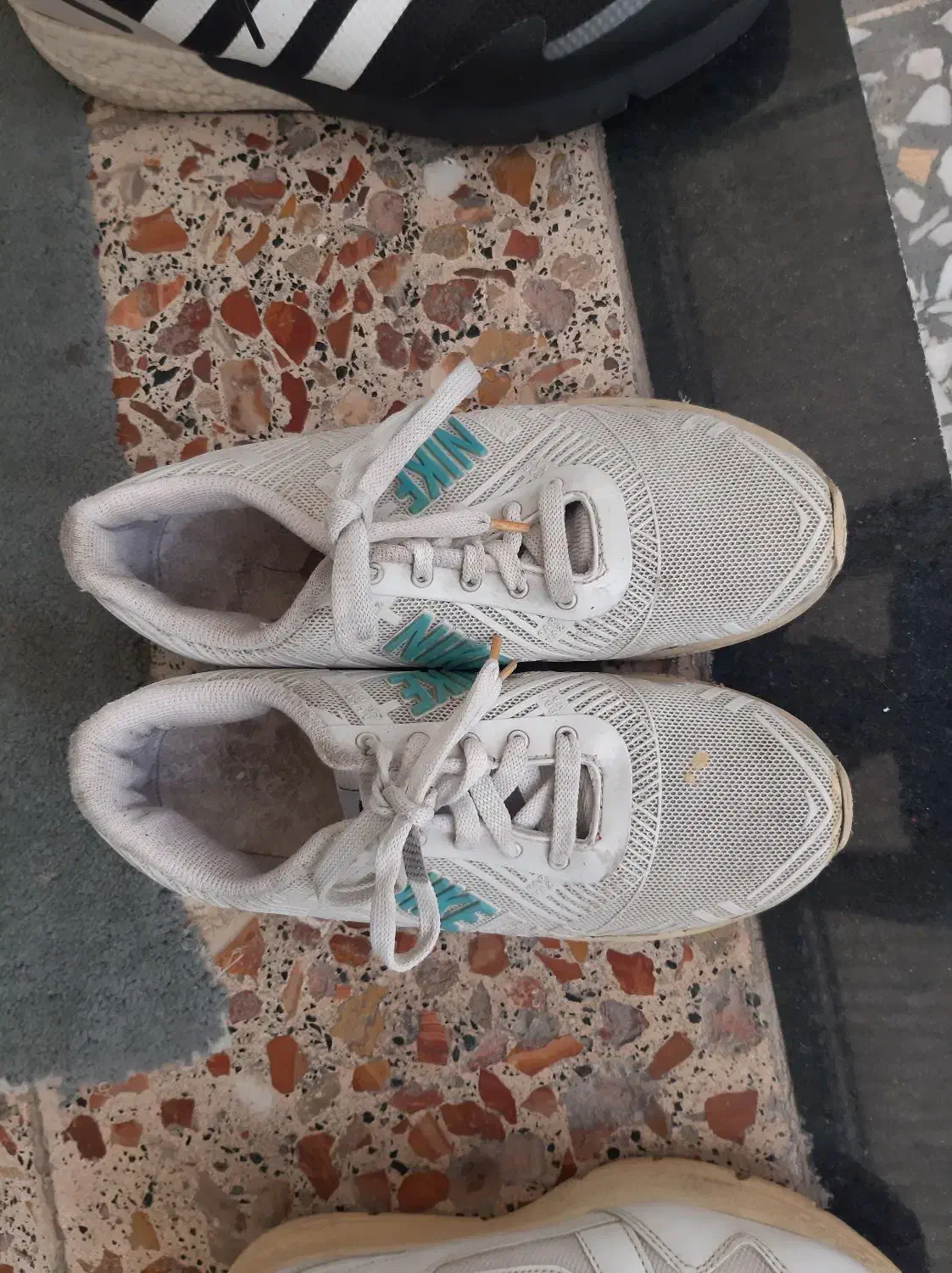 فروش کتانی|کیف، کفش، کمربند|گنبد کاووس, |دیوار