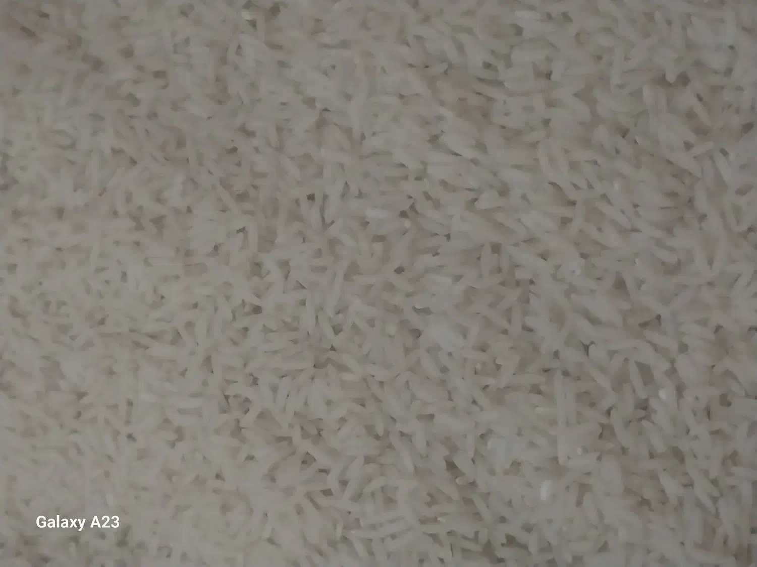 برنج هاشمی درجه ۱|خوردنی و آشامیدنی|رشت, یخسازی|دیوار