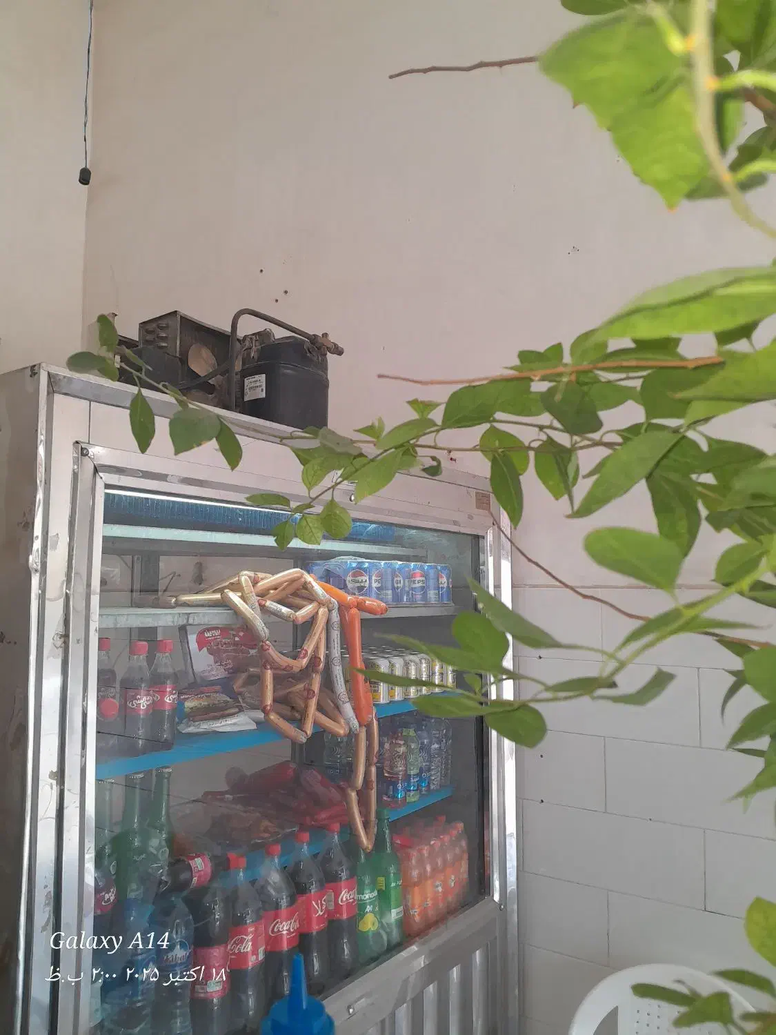 یخچال ایستاده با موتور فرانسوی وکانتر گرم دردار|کافیشاپ و رستوران|الشتر, |دیوار