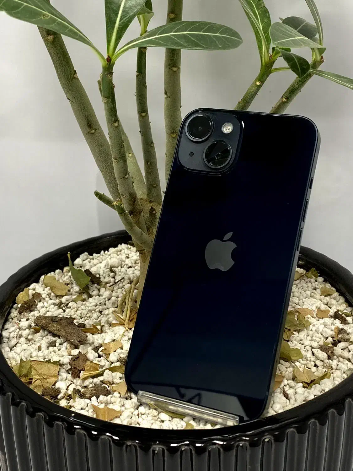 iPhone 14|موبایل|مشهد, انقلاب|دیوار