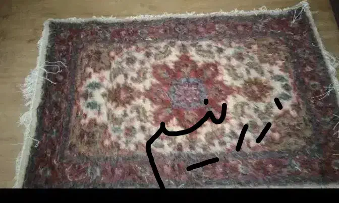 فرش دستباف مسند وزرنیم|فرش|اردبیل, |دیوار