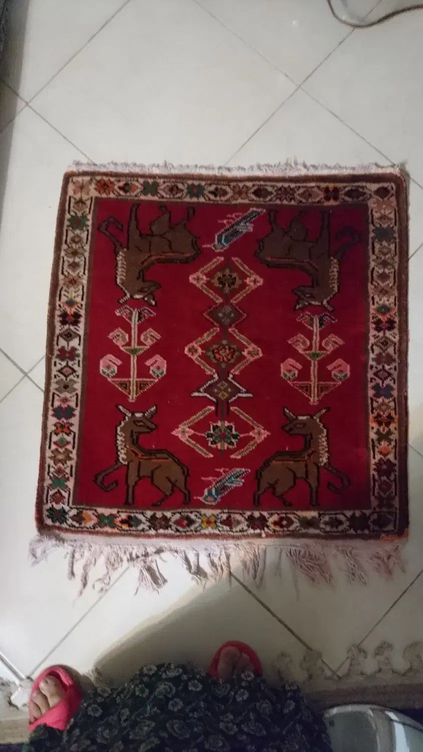فروش قالیچه دستبافت، پشتی و تابلو فرش دستباف|فرش|شیراز, نشاط|دیوار