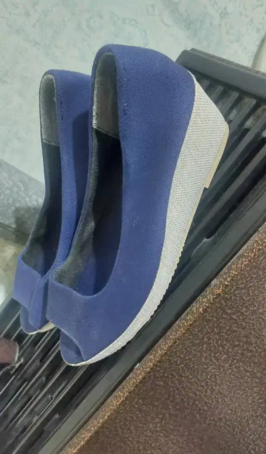 صندل|کیف، کفش، کمربند|بوشهر, |دیوار